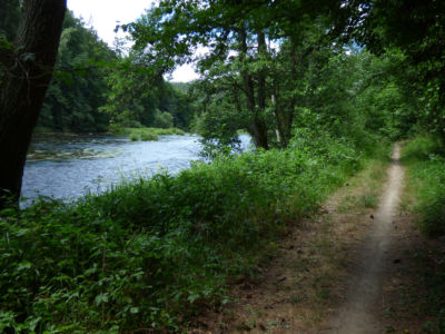 podél Vltavy