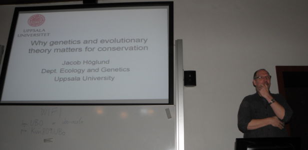 Jacob Höglund: Why genetics and evolutionary theory matters for conservation