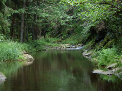 Křemžský potok