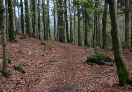 a zpět