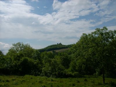 Sirotčí hrady