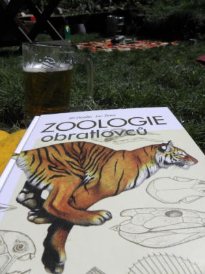 ....aneb od května se začínám učit na státnice :-D